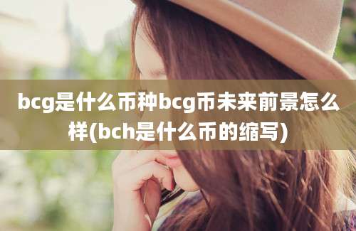 bcg是什么币种bcg币未来前景怎么样(bch是什么币的缩写)