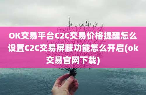 OK交易平台C2C交易价格提醒怎么设置C2C交易屏蔽功能怎么开启(ok交易官网下载)