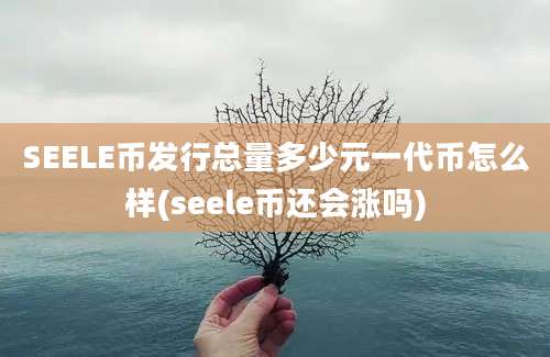 SEELE币发行总量多少元一代币怎么样(seele币还会涨吗)