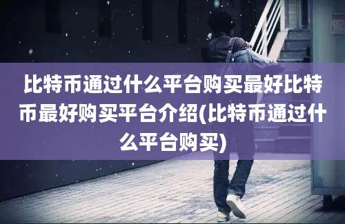 比特币通过什么平台购买最好比特币最好购买平台介绍(比特币通过什么平台购买)