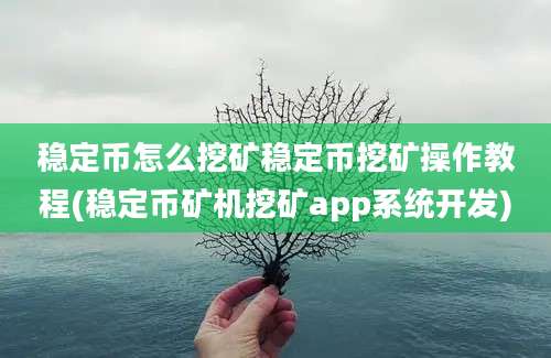 稳定币怎么挖矿稳定币挖矿操作教程(稳定币矿机挖矿app系统开发)