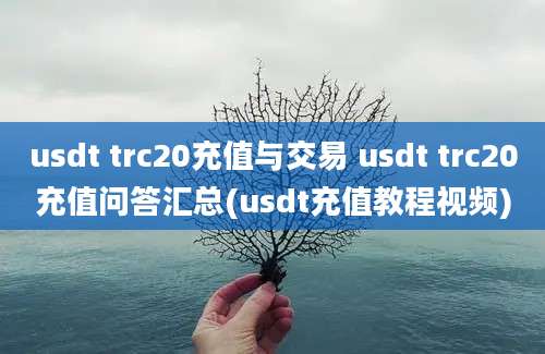 usdt trc20充值与交易 usdt trc20充值问答汇总(usdt充值教程视频)