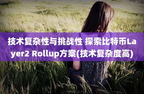 技术复杂性与挑战性 探索比特币Layer2 Rollup方案(技术复杂度高)