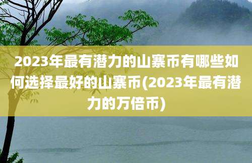 2023年最有潜力的山寨币有哪些如何选择最好的山寨币(2023年最有潜力的万倍币)