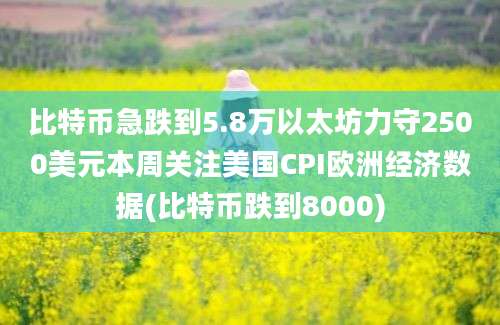 比特币急跌到5.8万以太坊力守2500美元本周关注美国CPI欧洲经济数据(比特币跌到8000)