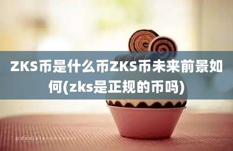 ZKS币是什么币ZKS币未来前景如何(zks是正规的币吗)