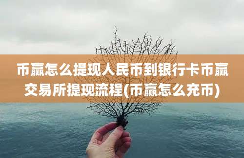 币赢怎么提现人民币到银行卡币赢交易所提现流程(币赢怎么充币)