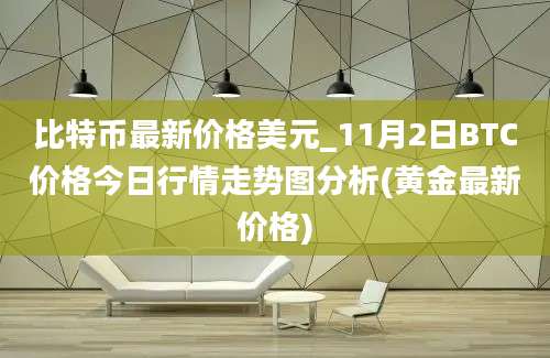 比特币最新价格美元_11月2日BTC价格今日行情走势图分析(黄金最新价格)