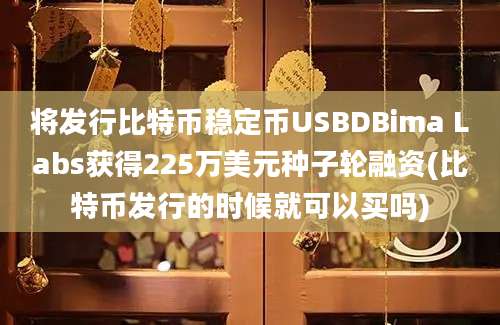 将发行比特币稳定币USBDBima Labs获得225万美元种子轮融资(比特币发行的时候就可以买吗)