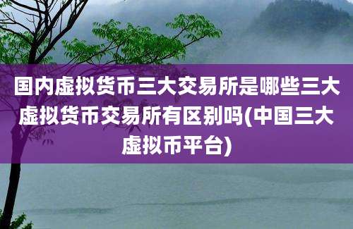 国内虚拟货币三大交易所是哪些三大虚拟货币交易所有区别吗(中国三大虚拟币平台)