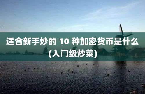 适合新手炒的 10 种加密货币是什么(入门级炒菜)