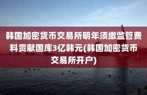 韩国加密货币交易所明年须缴监管费料贡献国库3亿韩元(韩国加密货币交易所开户)