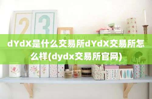 dYdX是什么交易所dYdX交易所怎么样(dydx交易所官网)