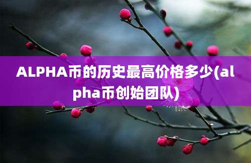 ALPHA币的历史最高价格多少(alpha币创始团队)