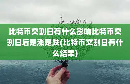 比特币交割日有什么影响比特币交割日后是涨是跌(比特币交割日有什么结果)