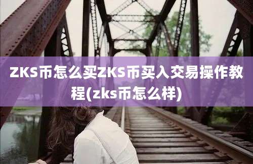 ZKS币怎么买ZKS币买入交易操作教程(zks币怎么样)