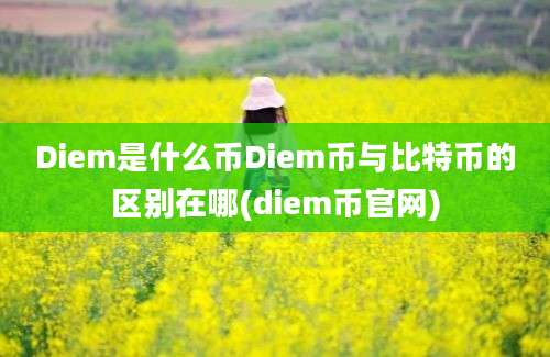 Diem是什么币Diem币与比特币的区别在哪(diem币官网)