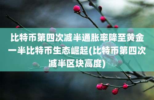 比特币第四次减半通胀率降至黄金一半比特币生态崛起(比特币第四次减半区块高度)