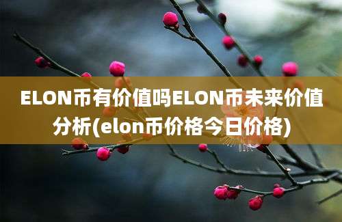 ELON币有价值吗ELON币未来价值分析(elon币价格今日价格)