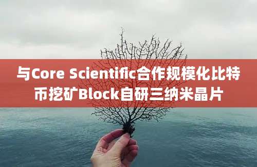 与Core Scientific合作规模化比特币挖矿Block自研三纳米晶片