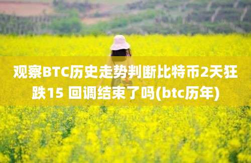 观察BTC历史走势判断比特币2天狂跌15 回调结束了吗(btc历年)