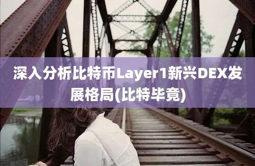 深入分析比特币Layer1新兴DEX发展格局(比特毕竟)