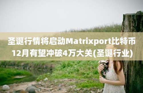 圣诞行情将启动Matrixport比特币12月有望冲破4万大关(圣诞行业)