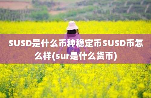 SUSD是什么币种稳定币SUSD币怎么样(sur是什么货币)