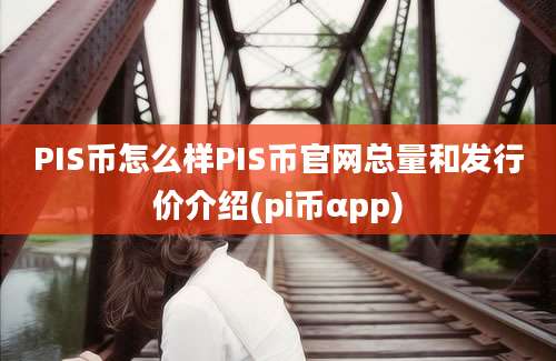 PIS币怎么样PIS币官网总量和发行价介绍(pi币αpp)