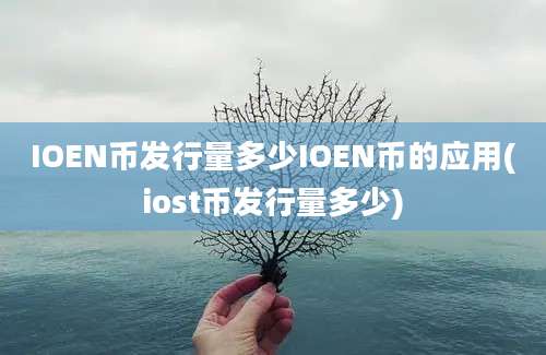 IOEN币发行量多少IOEN币的应用(iost币发行量多少)