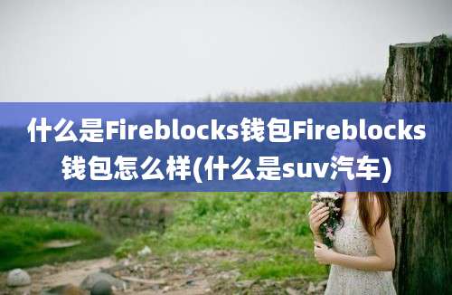 什么是Fireblocks钱包Fireblocks钱包怎么样(什么是suv汽车)