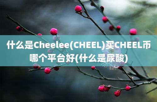 什么是Cheelee(CHEEL)买CHEEL币哪个平台好(什么是尿酸)