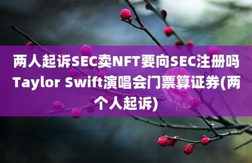 两人起诉SEC卖NFT要向SEC注册吗Taylor Swift演唱会门票算证券(两个人起诉)