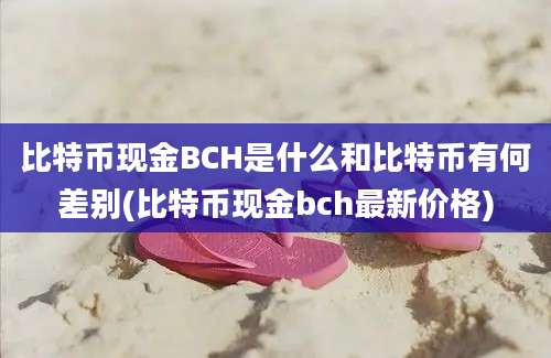 比特币现金BCH是什么和比特币有何差别(比特币现金bch最新价格)