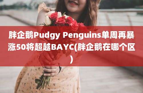 胖企鹅Pudgy Penguins单周再暴涨50将超越BAYC(胖企鹅在哪个区)