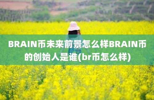 BRAIN币未来前景怎么样BRAIN币的创始人是谁(br币怎么样)