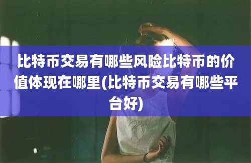 比特币交易有哪些风险比特币的价值体现在哪里(比特币交易有哪些平台好)