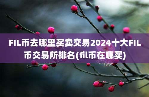 FIL币去哪里买卖交易2024十大FIL币交易所排名(fil币在哪买)