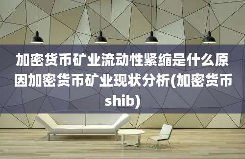 加密货币矿业流动性紧缩是什么原因加密货币矿业现状分析(加密货币shib)