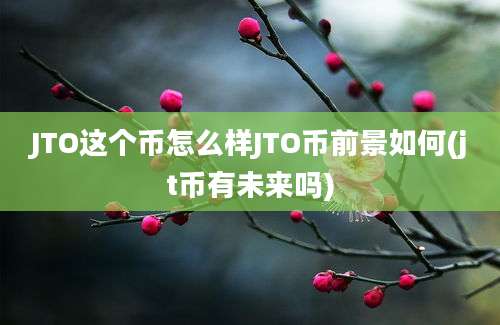 JTO这个币怎么样JTO币前景如何(jt币有未来吗)