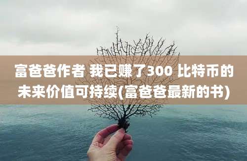 富爸爸作者 我已赚了300 比特币的未来价值可持续(富爸爸最新的书)