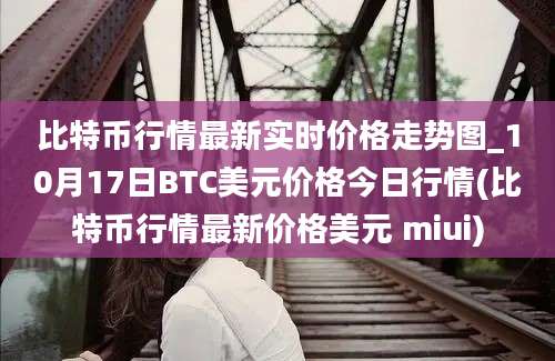 比特币行情最新实时价格走势图_10月17日BTC美元价格今日行情(比特币行情最新价格美元 miui)