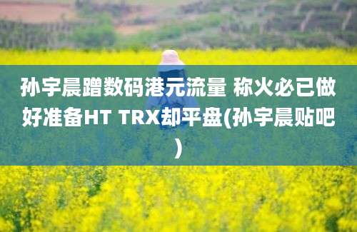 孙宇晨蹭数码港元流量 称火必已做好准备HT TRX却平盘(孙宇晨贴吧)