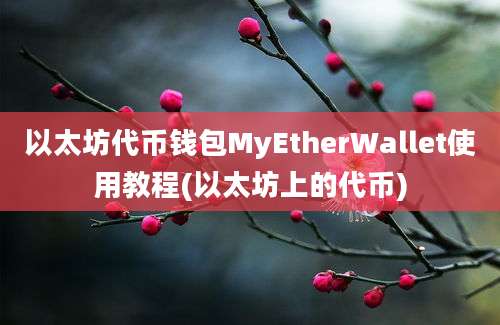 以太坊代币钱包MyEtherWallet使用教程(以太坊上的代币)