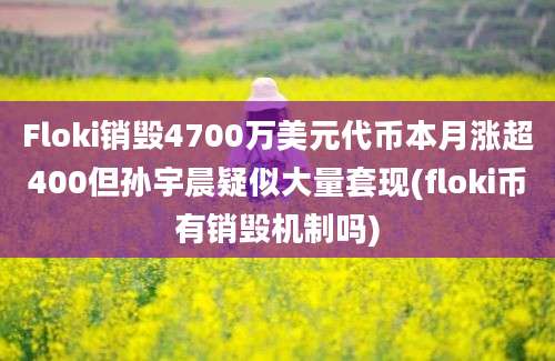 Floki销毁4700万美元代币本月涨超400但孙宇晨疑似大量套现(floki币有销毁机制吗)