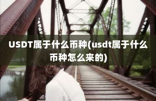 USDT属于什么币种(usdt属于什么币种怎么来的)