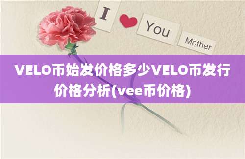 VELO币始发价格多少VELO币发行价格分析(vee币价格)