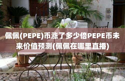 佩佩(PEPE)币涨了多少倍PEPE币未来价值预测(佩佩在哪里直播)