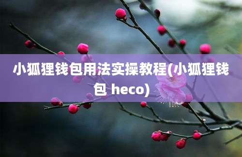 小狐狸钱包用法实操教程(小狐狸钱包 heco)