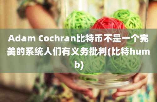 Adam Cochran比特币不是一个完美的系统人们有义务批判(比特humb)